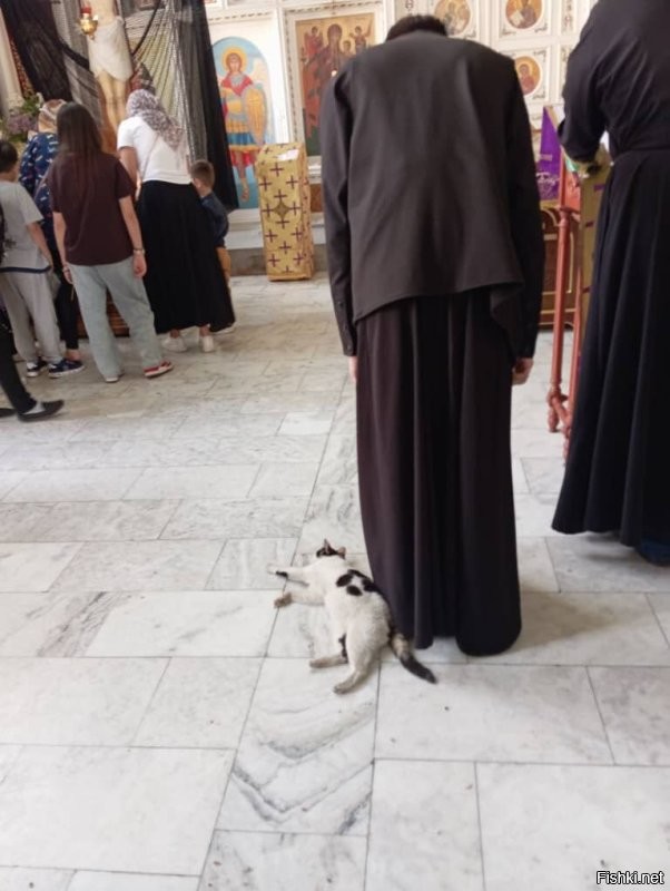 Батюшка освятил кота