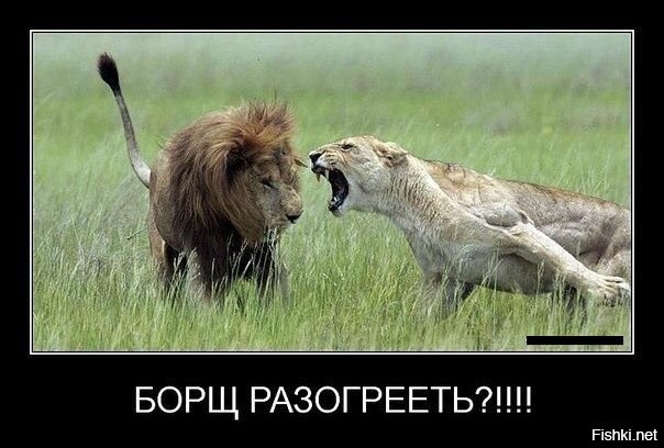 Вроде как ласковая , но опасная
