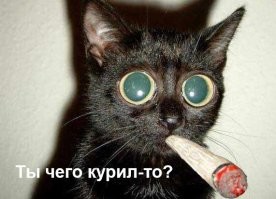 В Москве студент швырнул мокасин в саркофаг Ленина