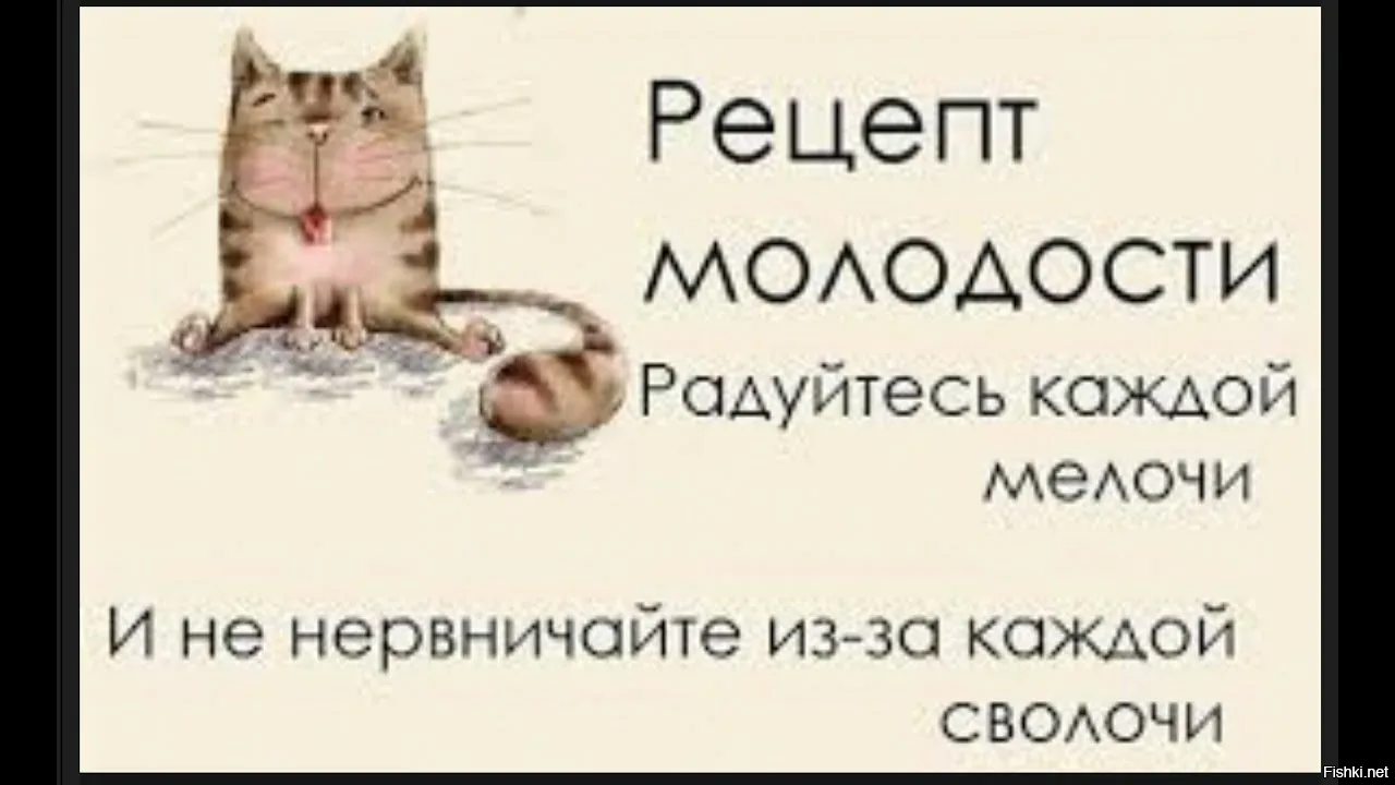 На&nbsp;востоке Франции заметили пьяных оленей