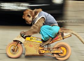 Нужно больше скорости