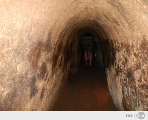 я там был. картинки у них там тоже весёлые. не забывайте что там ещё жара и духота круглосуточная. попробуй повоюй там в джунглях. у американцев не было шансов. а шипы у всех ловушек партизаны гавном мазали, чтобы инфекции побольше в рану занести. задача была не убить врага, а покалечить. убитого увезли и всё. а раненого ещё и лечить надо. возни гораздо больше.