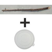 вот с чем у меня этот фильм всегда ассоциируется)