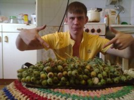 надо быть поолным мудаком, чтобы сделать фото с маком, а если в наркоконтроль отправить?