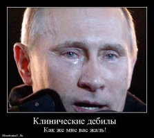 Чудики из США