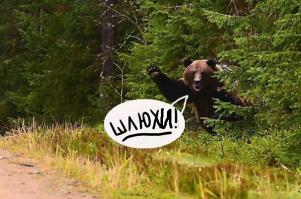 Скриншот из будущего