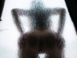 Собаки за стеклом 