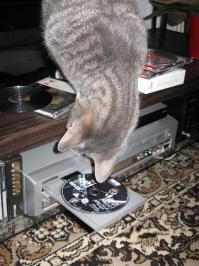 ну да, ага... Включит Ваш любимый фильм и испечет Вам пирожки...