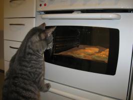 ну да, ага... Включит Ваш любимый фильм и испечет Вам пирожки...