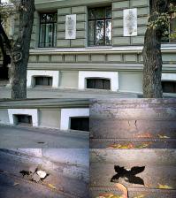 Москва, Миусская улица. Шампиньоны растут...