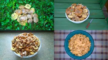 А я вот уже четвёртую субботу из загородного дома выхожу утром, прохожу 50 метров до "маленького леса" на участке и вот такой результат.