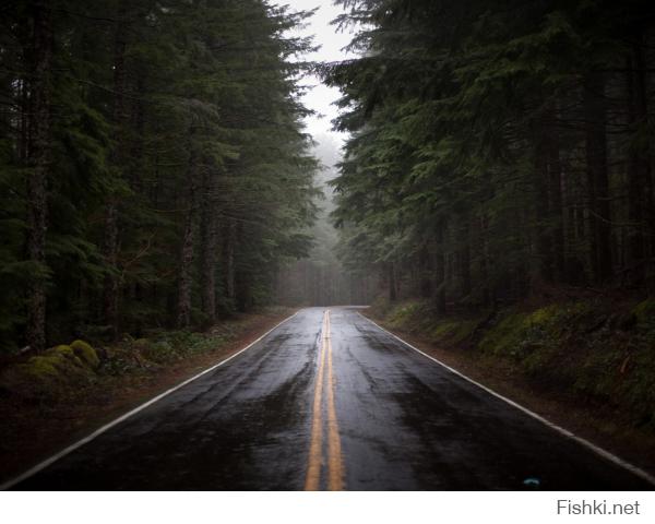 а мне нравятся небольшие шоссе сквозь густые хвойные леса, как например в Карелии или ЛО...шикарно