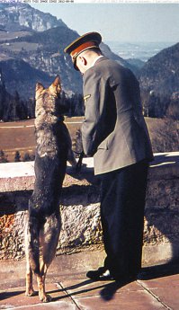 Собака помогает Гитлеру в разработке тактики.