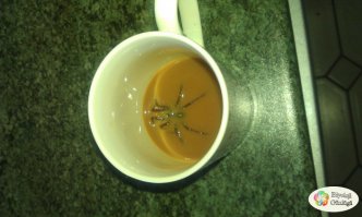 Будьте осторожны, друзья-арахнофобы. Они ВЕЗДЕЕЕЕ!!!