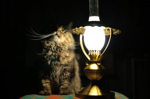 Парень молодец!