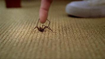 Да полно такой ублюдочной рекламы и у нас. Вот из последних меня реклама гребаного "Ментоса" бесит, которая с пауком, который мужика гандошит об стену. Я реально переживаю, что там с ним дальше произошло.