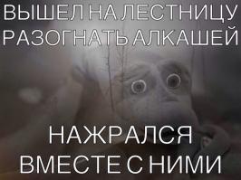 Почему с похмелья болит голова