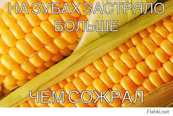 Веселая реклама кукурузы на пляже Крыма