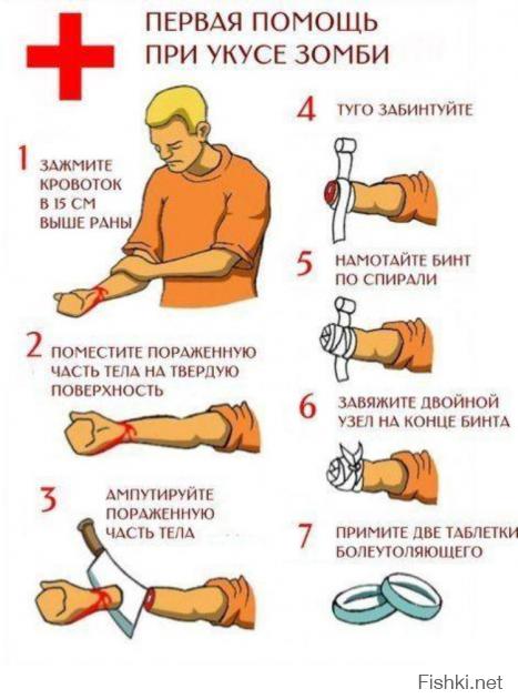  16 дней из жизни укушенного зомби