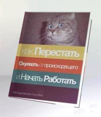 Я вот такой кот