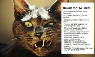 Прикольные картинки с котами