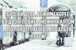  Смешные картинки 