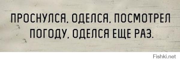 Реакция котэ на первый в его жизни снег