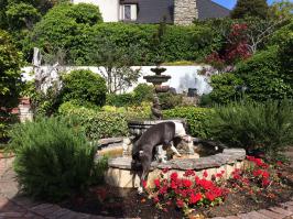 мой пока еще никого не загрыз