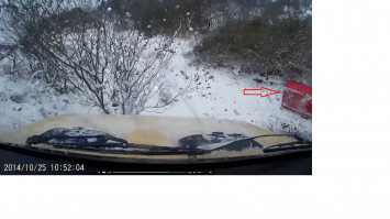 Прикормленное место, справа один уже отдыхает. Ограничение 40 не для них )))