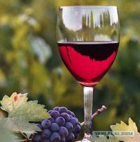 Вина внедорожникам )))