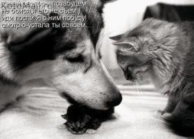 Это сделало его счастливым