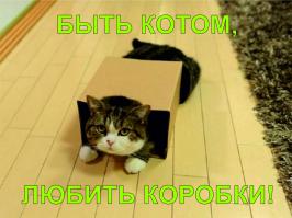 Как стать звездой интернета