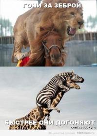 Хроника побегов животных из Московского зоопарка