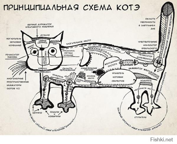 Правила кошачьего этикета