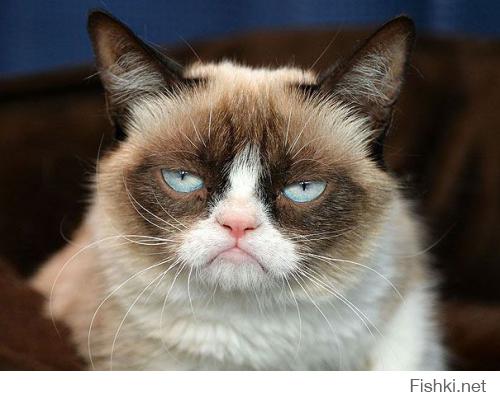 Гремпи (Grumpy Cat)-это кошка!!! 
Настоящая кличка — Соус Тардар (англ. Tardar Sauce)