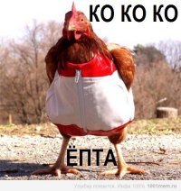 СтопХам Петрозаводск - Три семерки