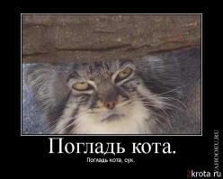 Подборка видео от 04.07.2014