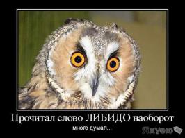 Фишкина солянка за 16.11.2014