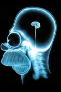 рентген головы этого пешехода