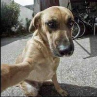 Меня забыли