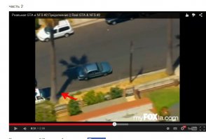 Коп не рассчитал, и въехал в пальму.