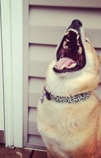 ШОК, дверь-убийца сломала ногу человеку!﻿