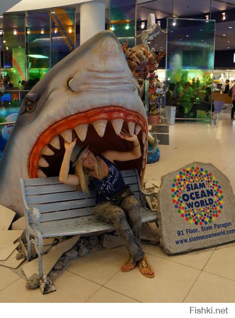 Ни фига на первой фотке не остановка ...  узнаю акулу из торгового центра "СИам Парагон" в Бангкоке. Девочка присела на скамейку для фото!