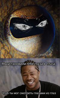 Глаза животного мира