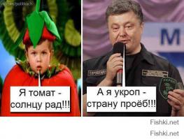 Мгновения войны за Новороссию