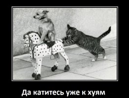 Мигранты — о том, почему они больше не хотят жить в России