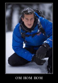 Новогодняя утка