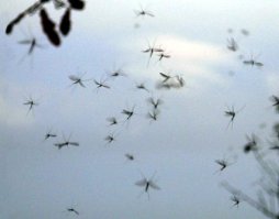 Про них забыли.