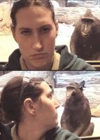 девка и бубуин - одно лицо)))