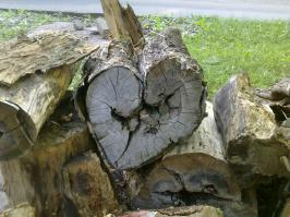 Пилить или не пилить